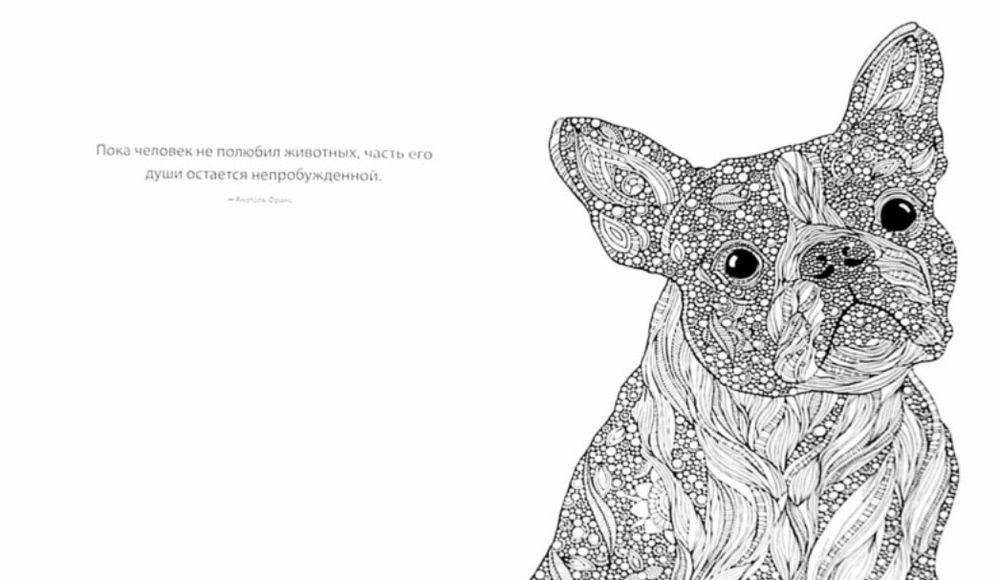 Креативная раскраска. Необыкновенные животные (слон) фото книги 2