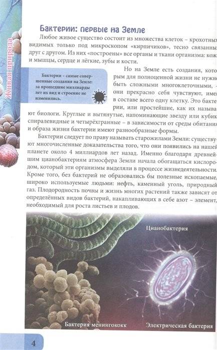 Живая природа фото книги 2