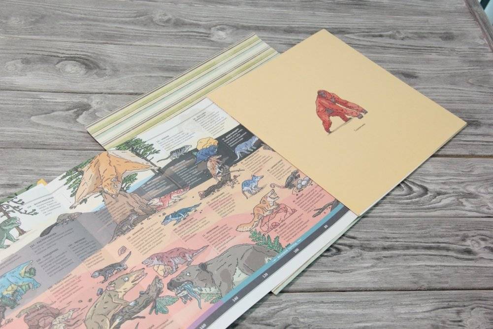 Животные фото книги 3