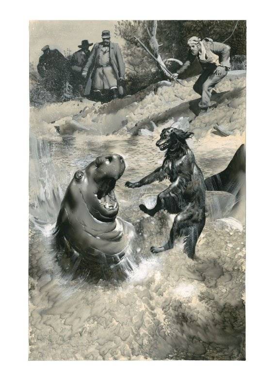 Таинственный остров фото книги 2