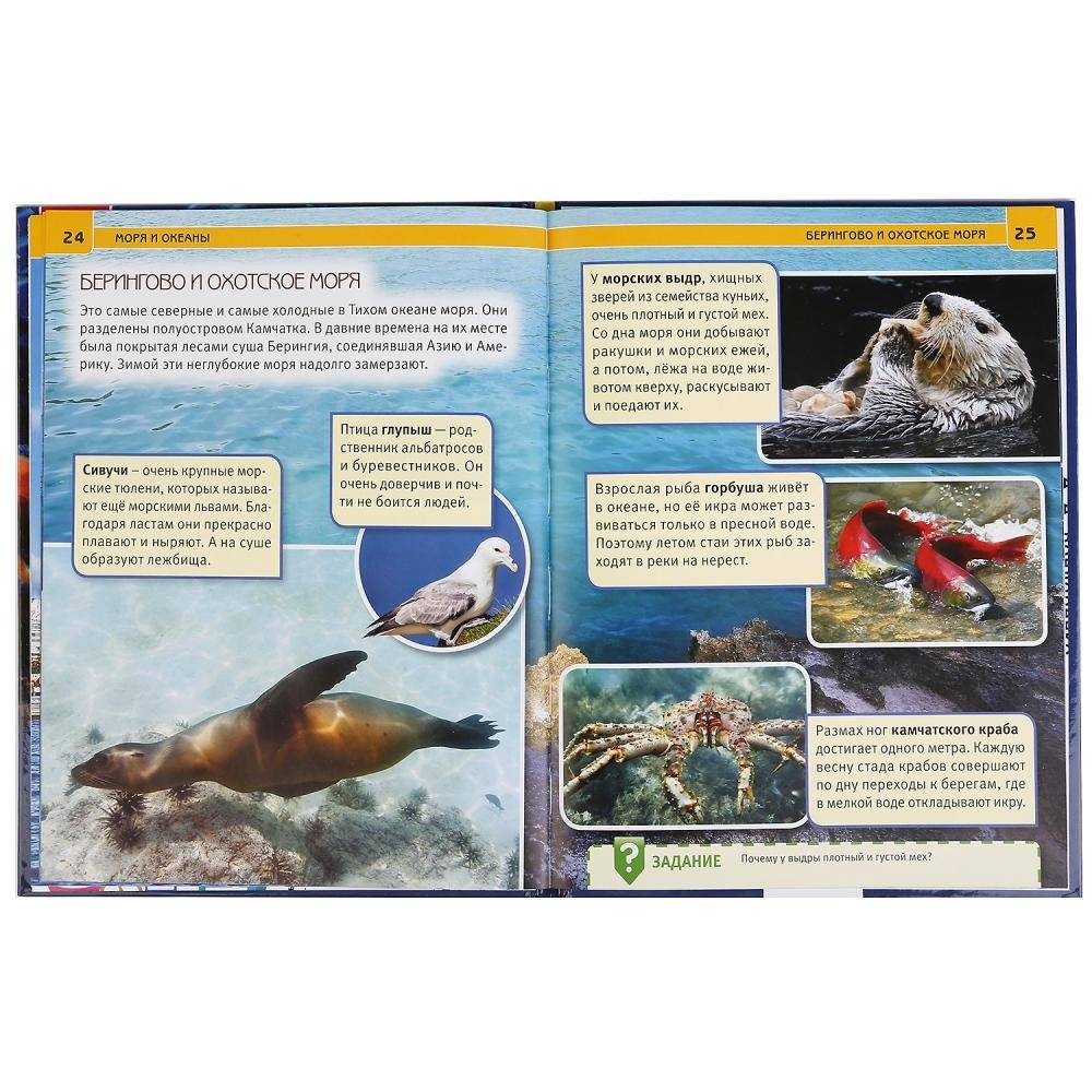 Моря и океаны фото книги 2