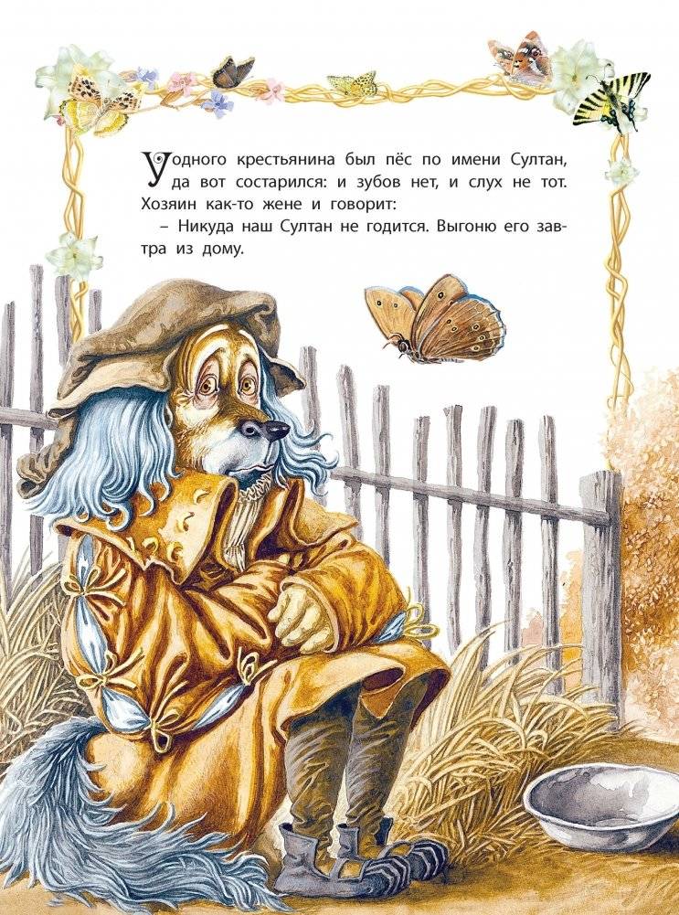 Старый султан фото книги 2