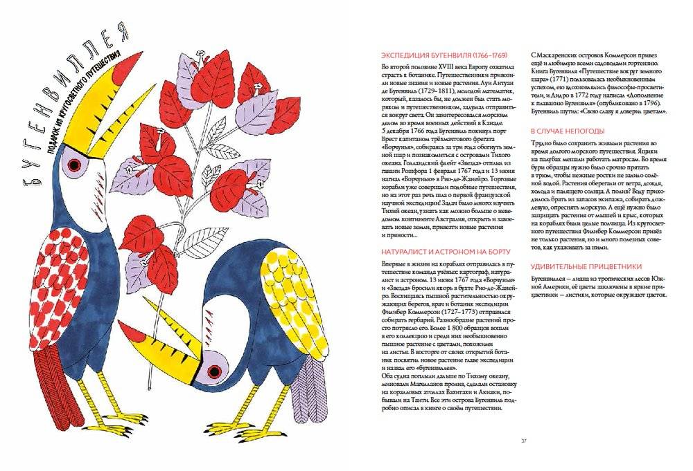 История ароматов. Путешествия цветов из далёких стран фото книги 2