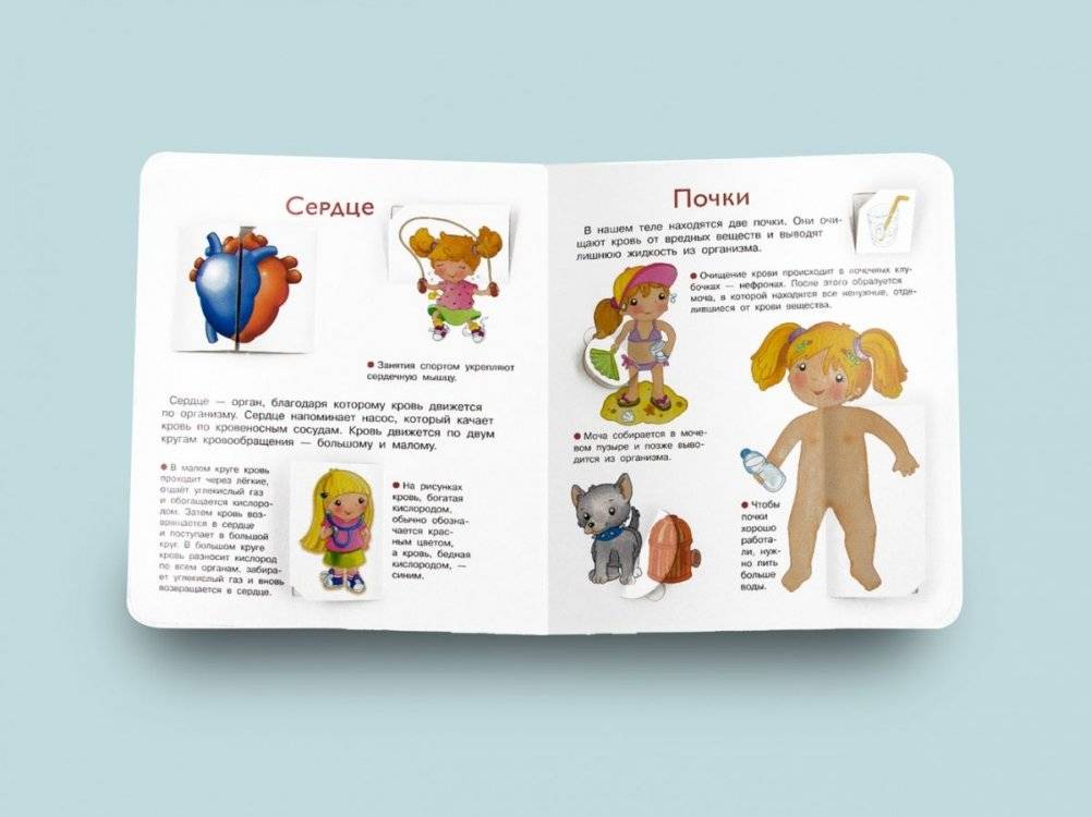 Что? Почему? Зачем? Наше тело фото книги 8