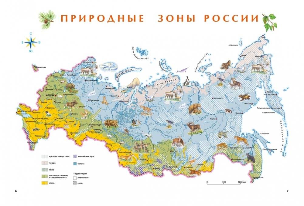 Природа России. Иллюстрированная энциклопедия фото книги 3