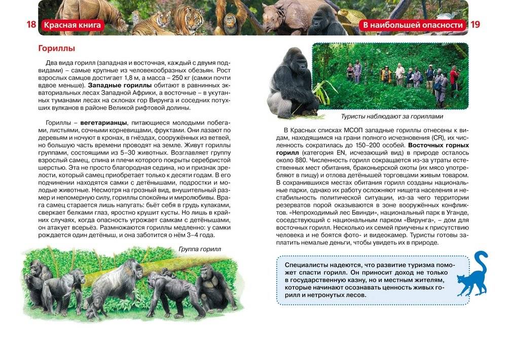 Красная книга фото книги 2