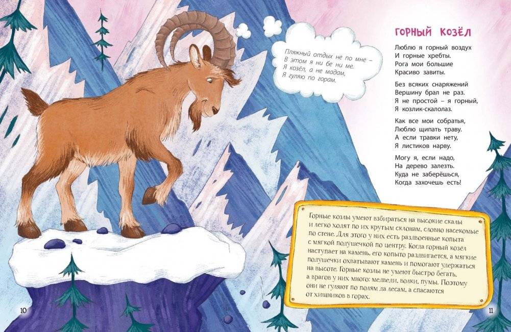 Расскажу вам о себе фото книги 3