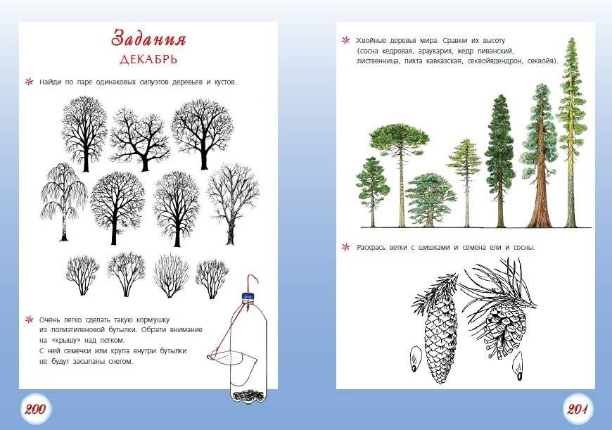 Круглый год фото книги 6