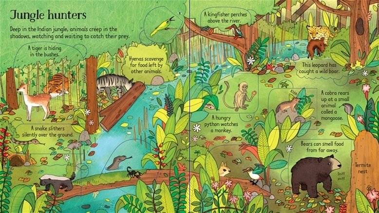 Look Inside. The Jungle. Board book фото книги 4