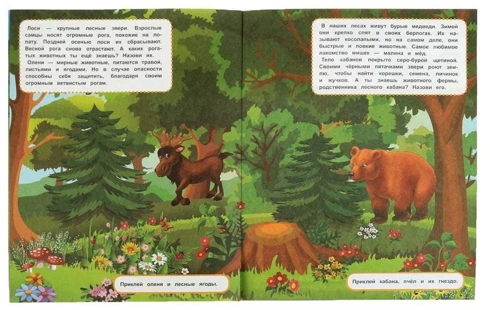 В лесу. Развивающие задания фото книги 4