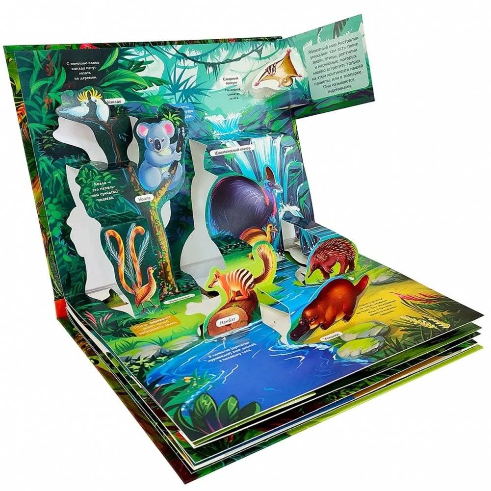 3D энциклопедия-панорамка. Джунгли фото книги 2
