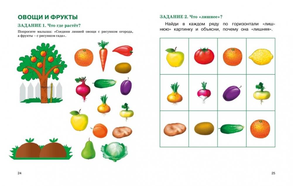 Развитие речи. Уроки с логопедом фото книги 4