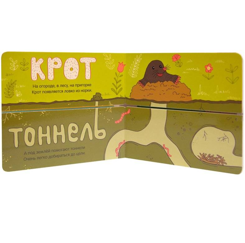 Где чей домик? фото книги 3