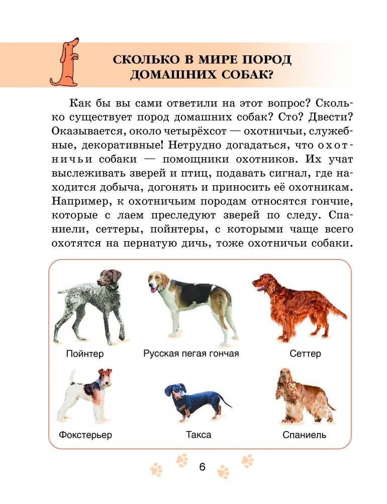 Ребятам о собаках фото книги 4