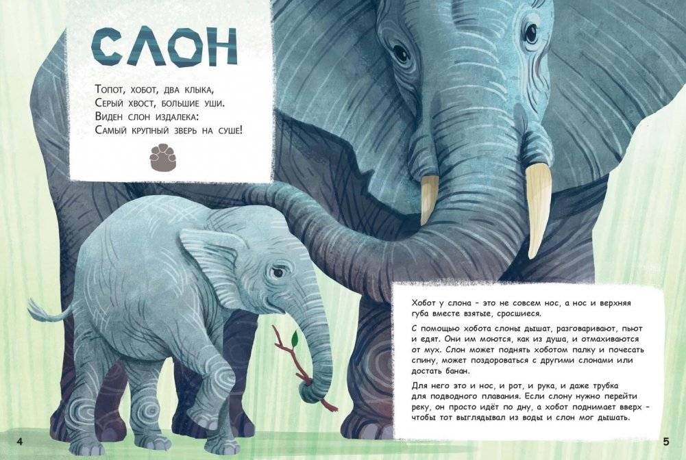 Они такие разные! фото книги 3