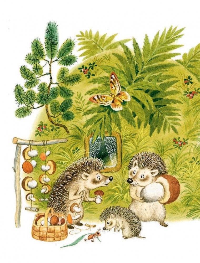 Сказки под подушку фото книги 5