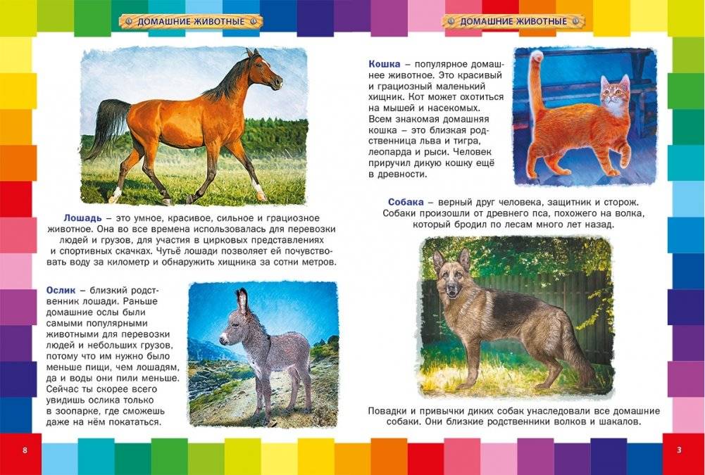 Животный мир для малышей. Детская энциклопедия фото книги 2