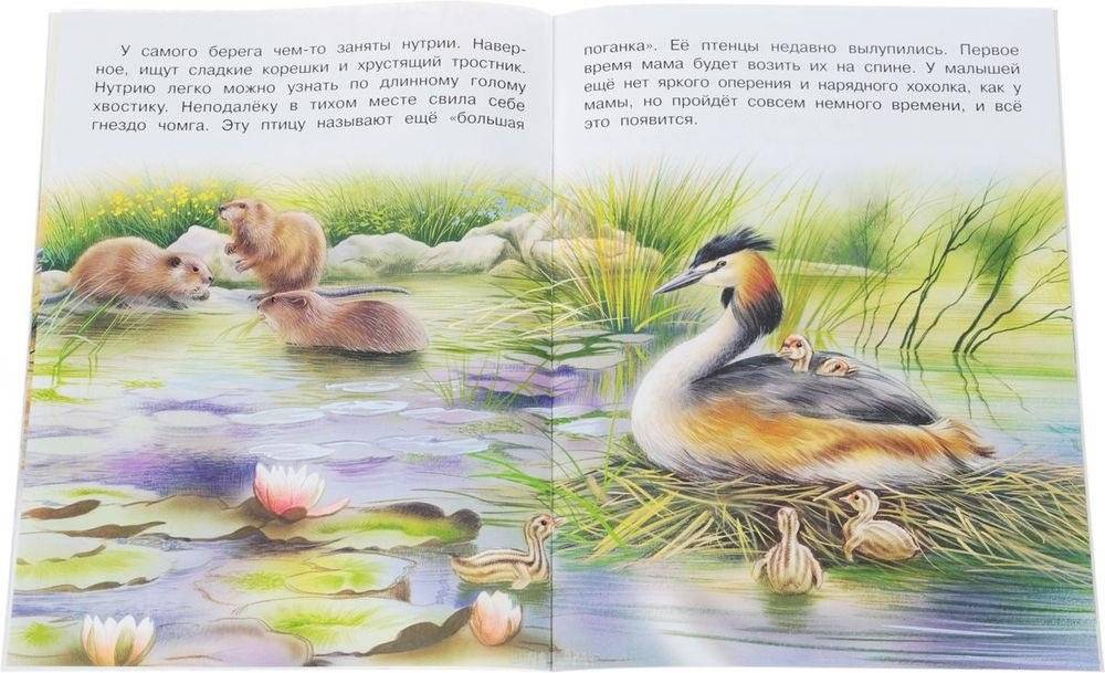 На реке фото книги 3