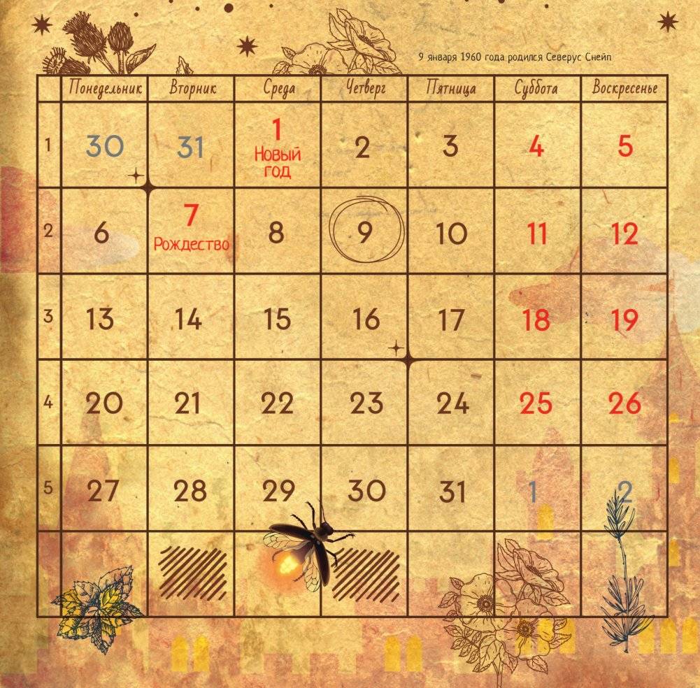 Календарь волшебных фактов из мира "Гарри Поттера" фото книги 2