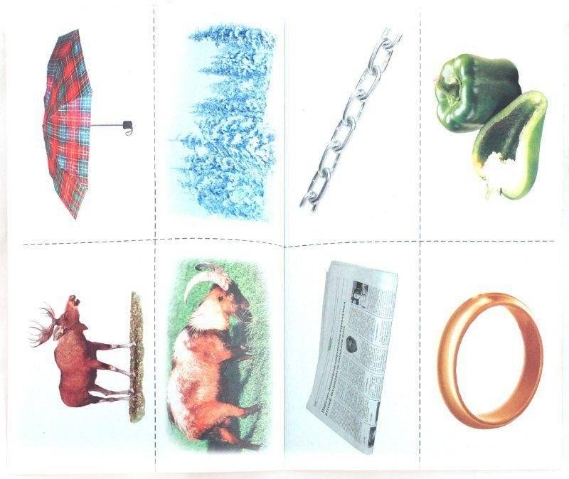 Произносим звуки правильно. Логопедические упражнения фото книги 5