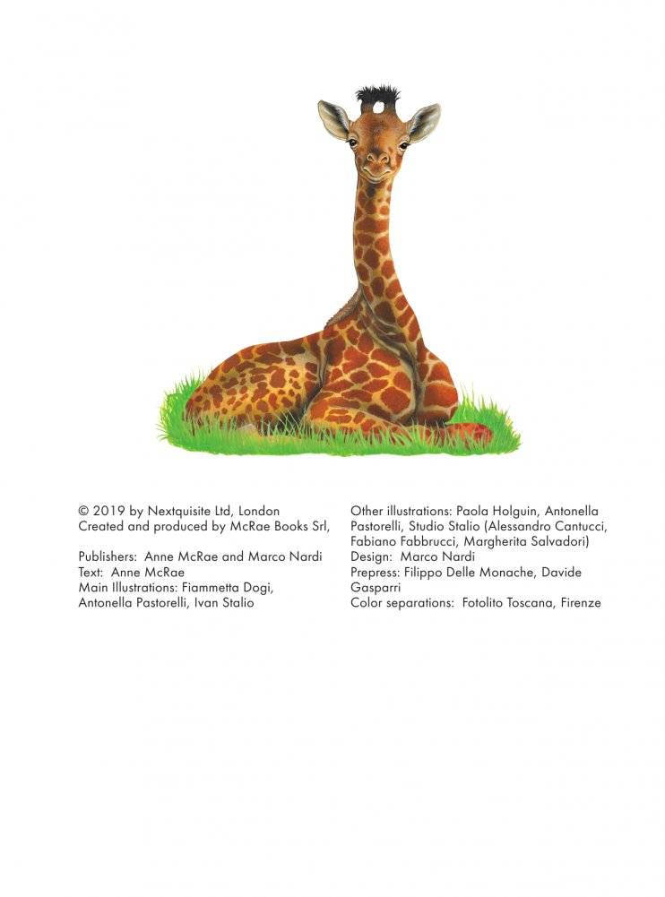 Детеныши животных фото книги 3