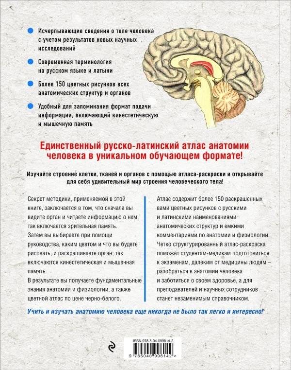 Анатомия: русско-латинский атлас-раскраска фото книги 2