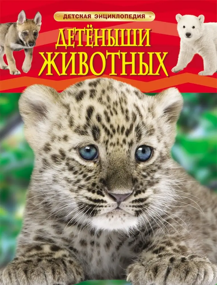 Детёныши животных фото книги