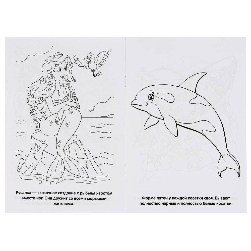 Обитатели морей фото книги 3