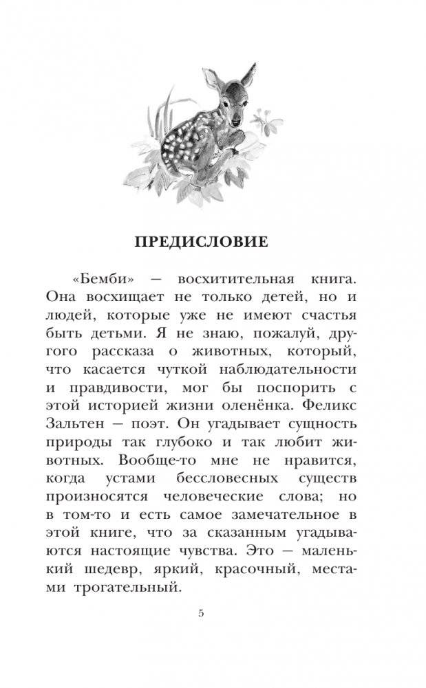 Бемби фото книги 6