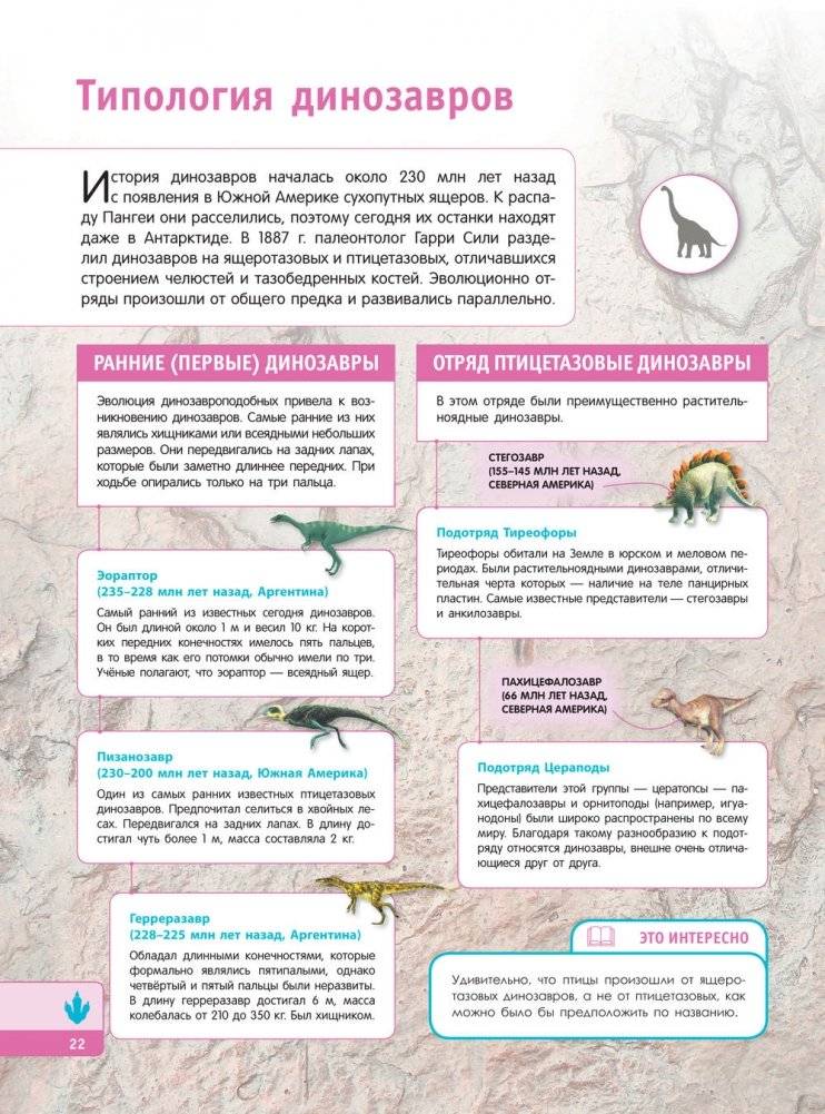 Тайны динозавров. Самая невероятная энциклопедия фото книги 23