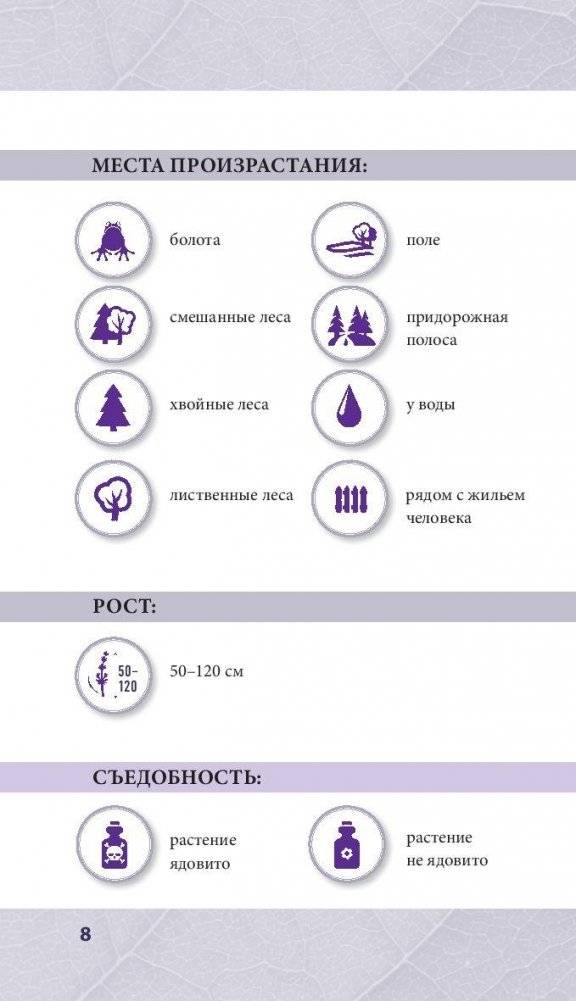 Лечебные травы. Иллюстрированный справочник-определитель фото книги 8