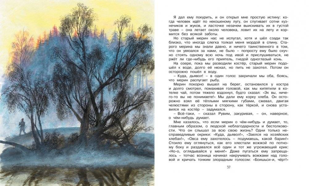 Корзина с еловыми шишками фото книги 6