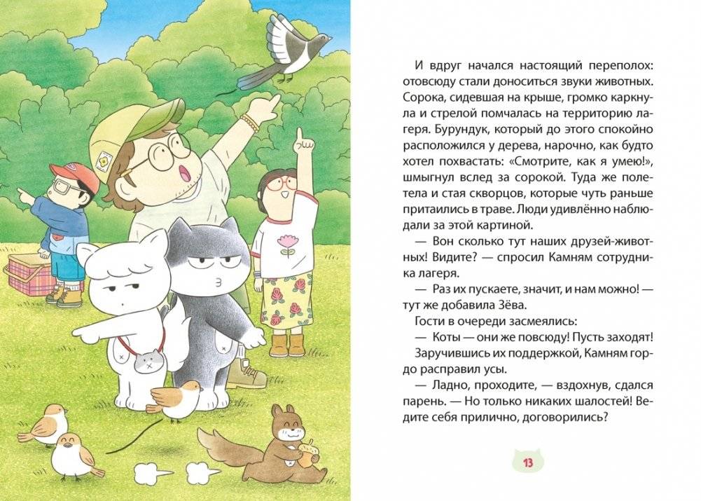 Кот идёт в поход фото книги 5