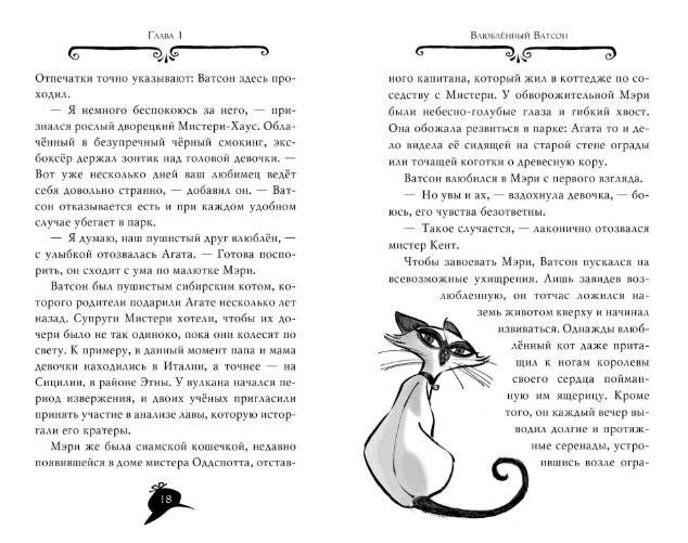 Агата Мистери. Пожар в джунглях фото книги 4