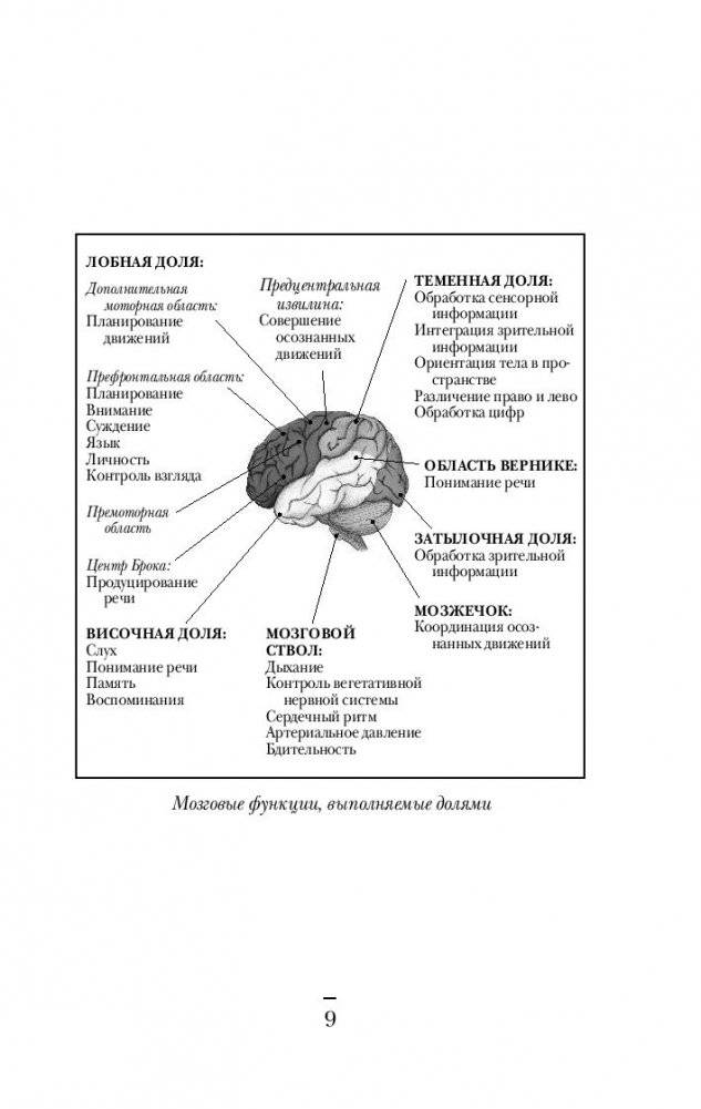 Мозговой штурм. Детективные истории из мира неврологии фото книги 8