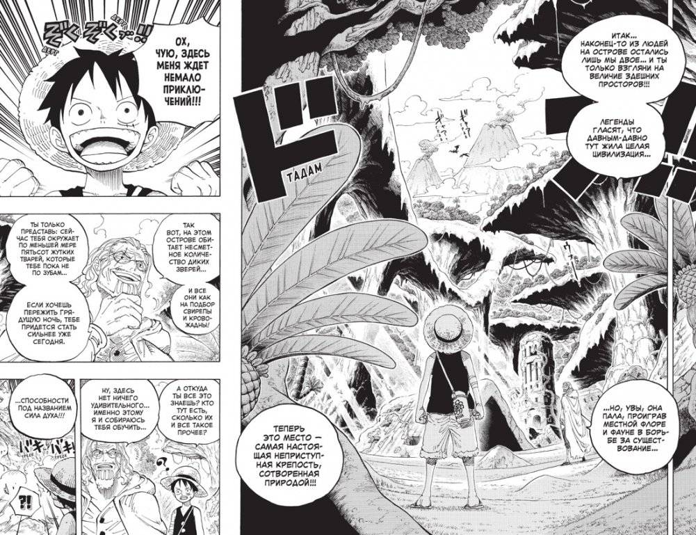 One Piece. Большой куш. Книга 21. На заре приключений : Новый Свет фото книги 4