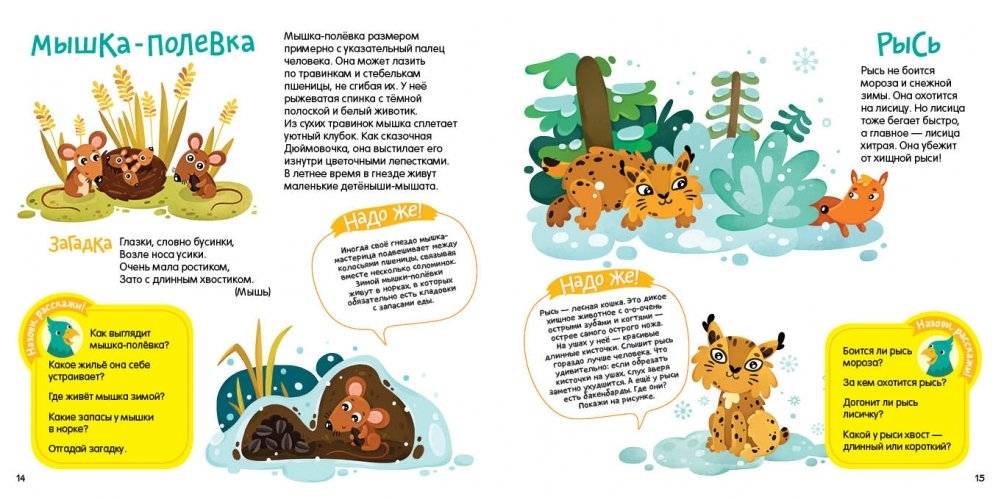 Мой солнечный мир фото книги 3