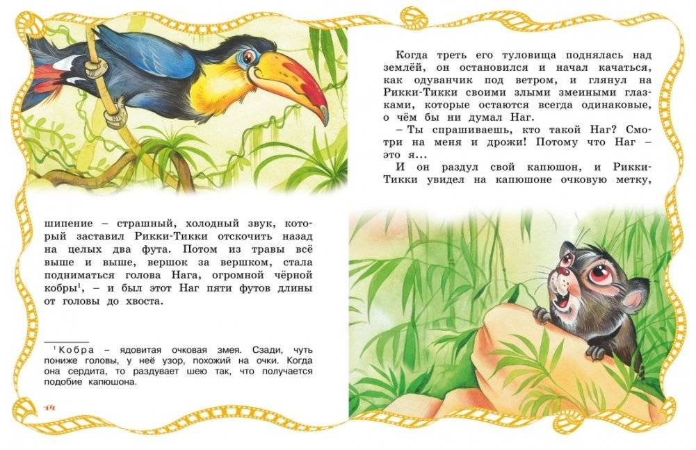 Рикки-Тикки-Тави фото книги 3