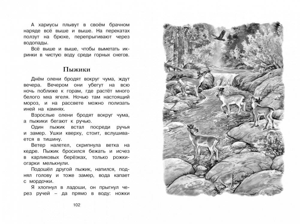 Беспокойный хвостик фото книги 5