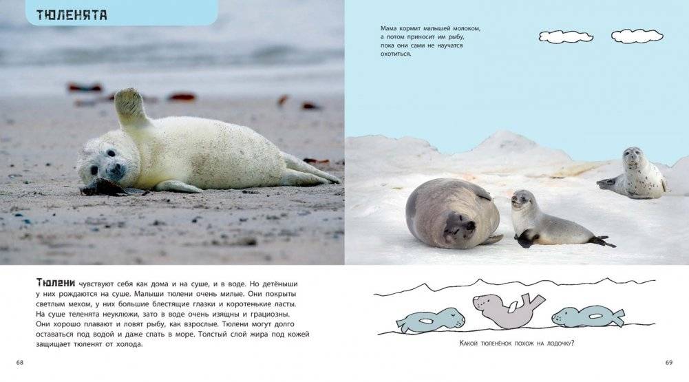 Это мой малыш! Детёныши разных животных фото книги 7