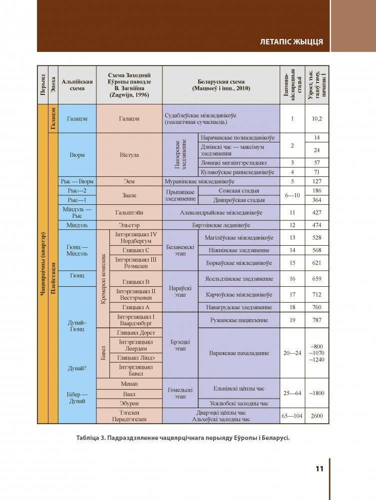 Першыя людзі на зямлі Беларусі фото книги 3