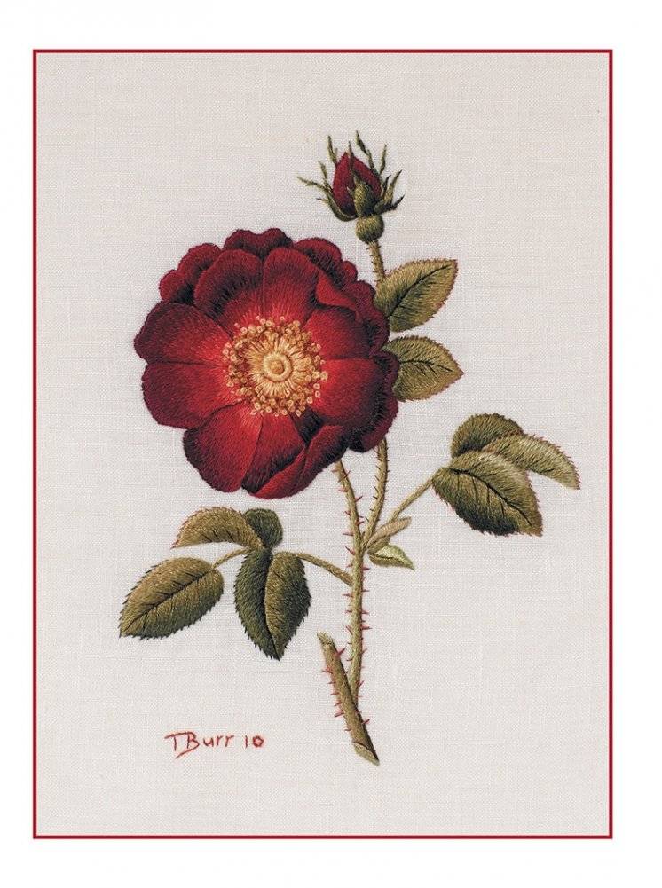 Оттеночное вышивание гладью. Мотивы с цветами и птицами фото книги 4