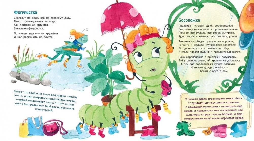 Букашки в кармашке фото книги 5