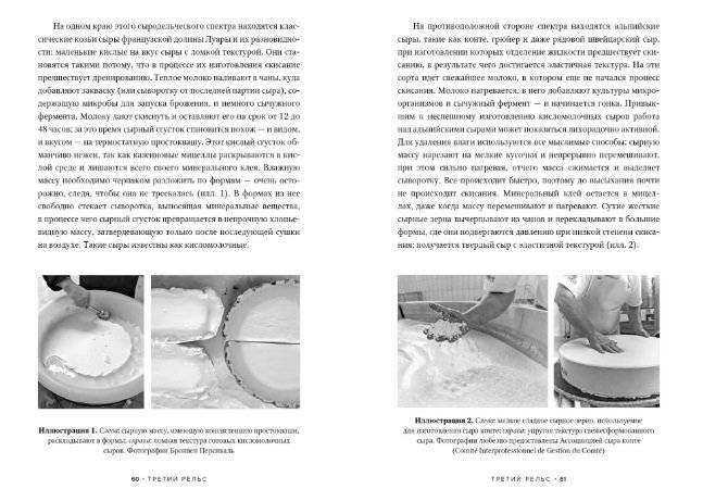 Заново изобретая колесо: молоко, микробы и битва за настоящий сыр фото книги 3