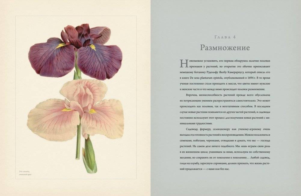 Ботаника для садоводов фото книги 6