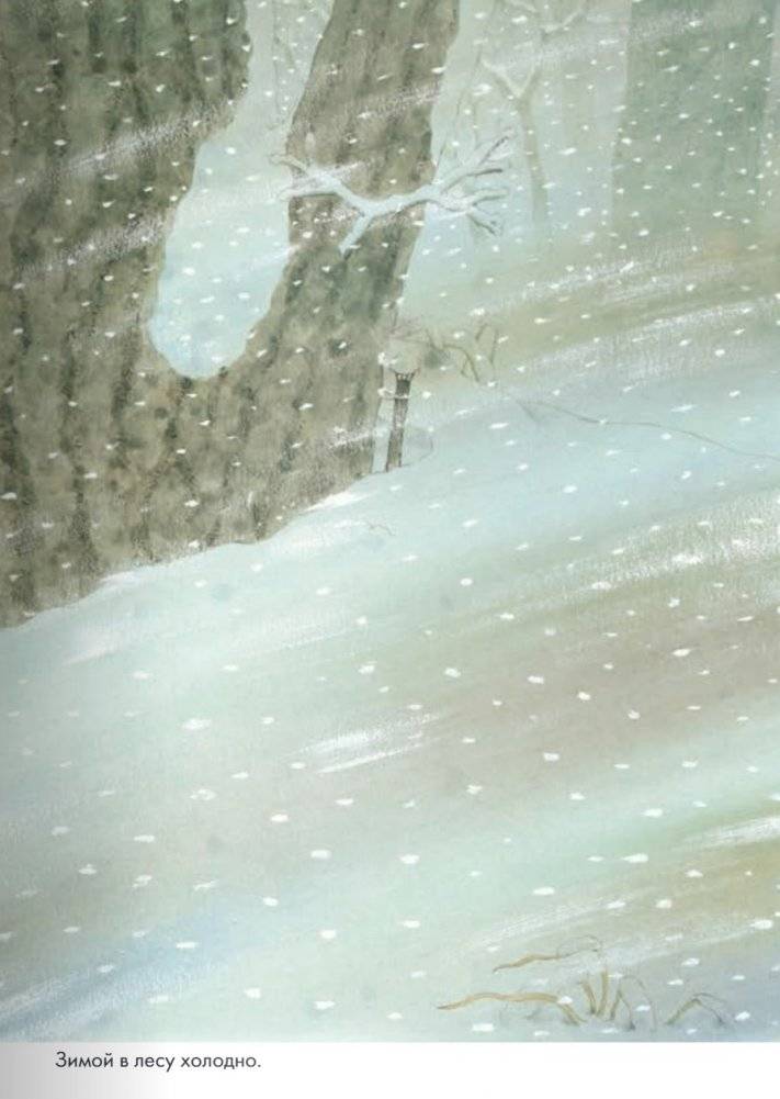 14 лесных мышей. Зимний день фото книги 4