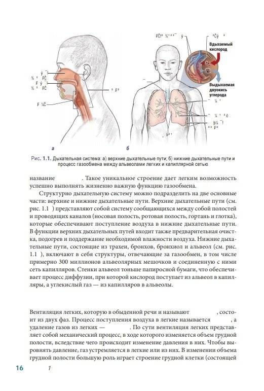Анатомия пилатеса. Иллюстрированное руководство. Новая редакция фото книги 3