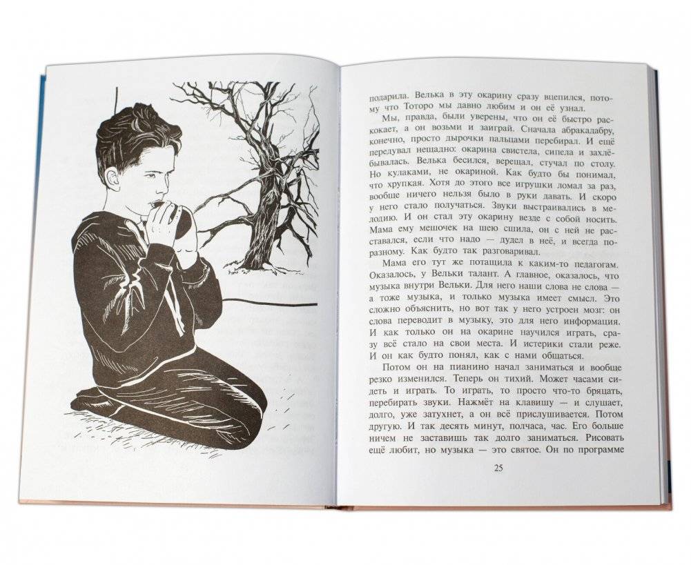 Я - сестра Тоторо фото книги 2