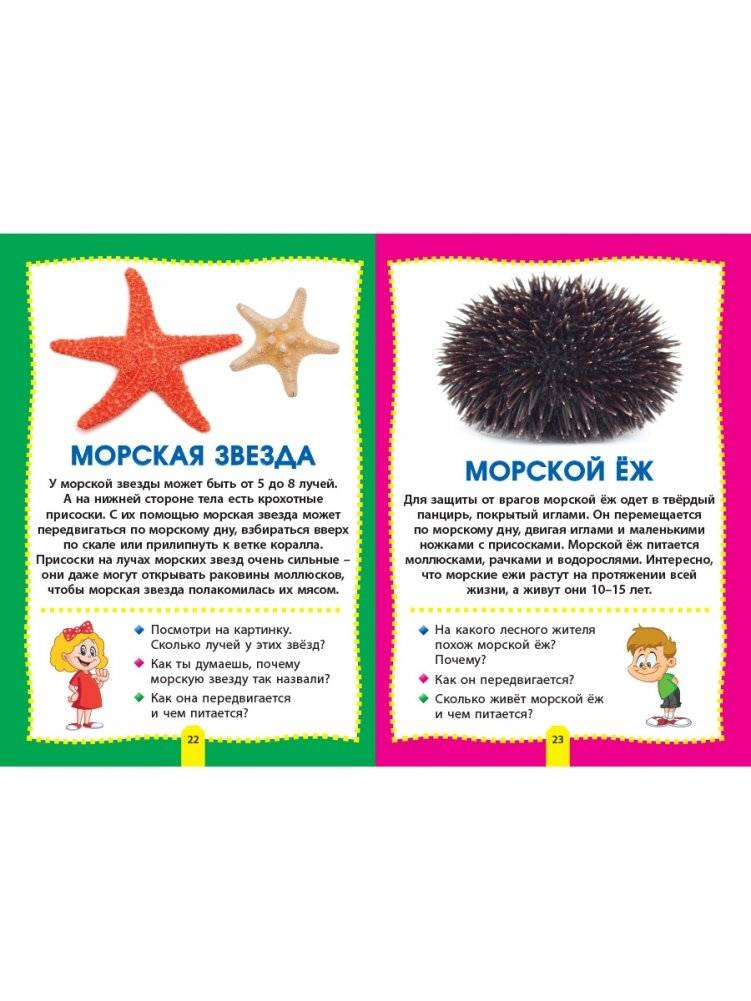 Морские обитатели. Фотокнига для самых маленьких фото книги 7