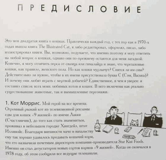 Большая книга кошек фото книги 2